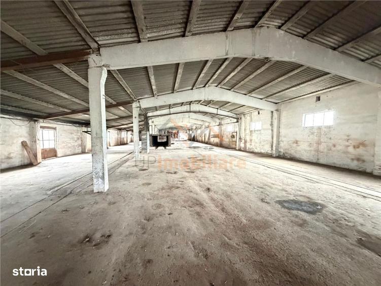 HALE INDUSTRIALE | CLADIRE BIROURI | TEREN 7000 MP | GHEGHIE BIHOR - 10
