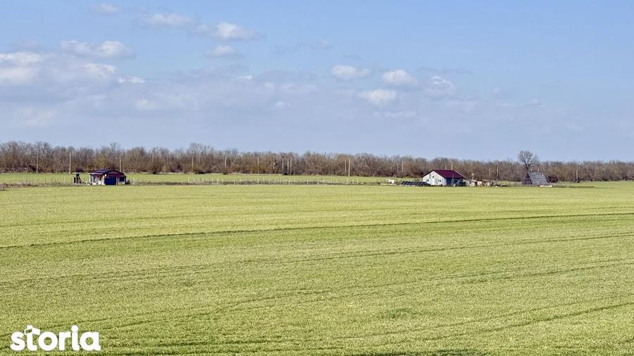 Avans 500 euro - Teren de investitie la Mare! Statiunea Costinesti 444 - 8