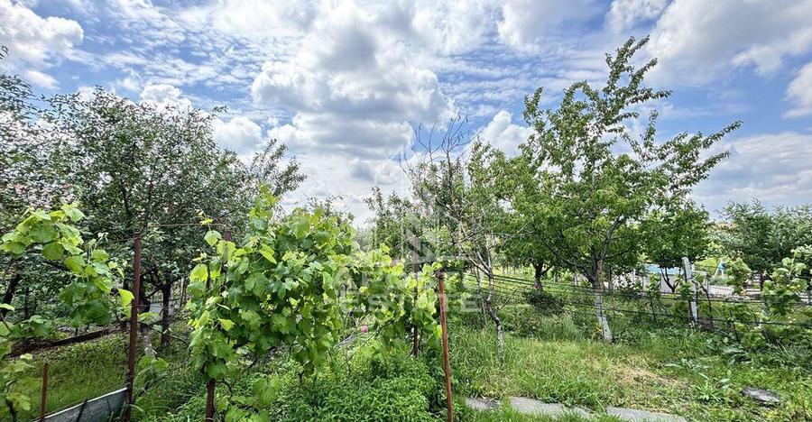 Casa spatioasa, teren 1348 mp, Giarmata - 10