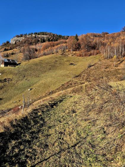 Teren de vânzare în sat Măgura/ Brasov– loc pentru familie, liniște și suflet - 21