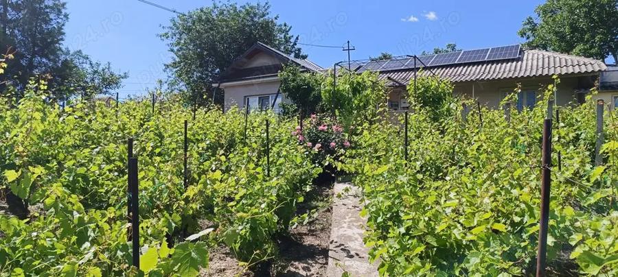 Casa de vannzare - 9