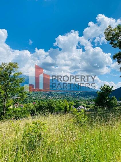 Vilă in Bran cu teren de 28.000 mp și priveliște spectaculoasa - 27