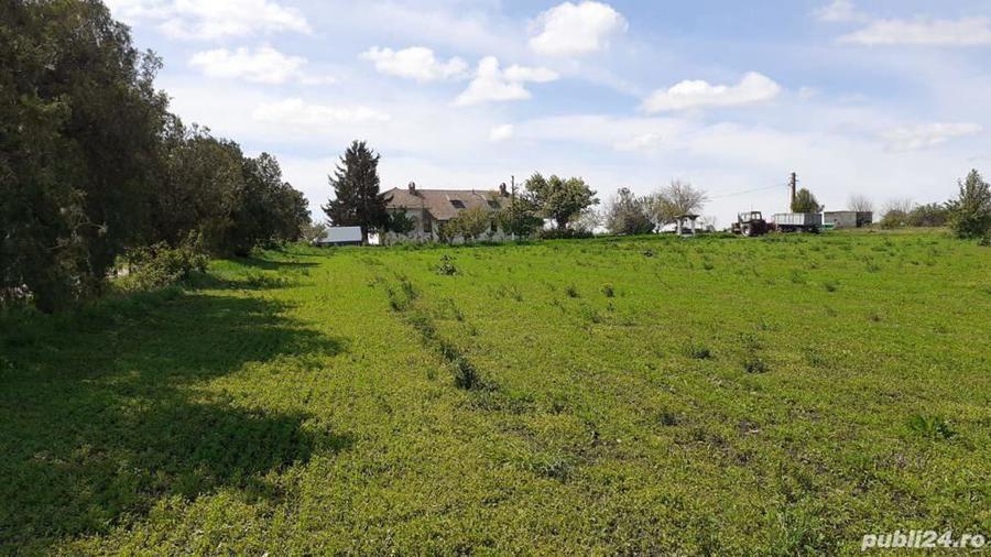 De vanzare Teren ?i Conac Brastava?u, Olt - 1