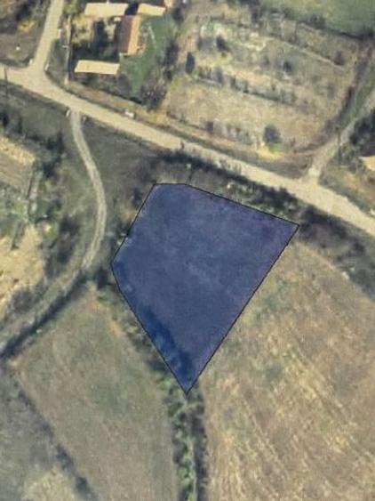 Teren intravilan de vânzare Sacosu Mare - 1