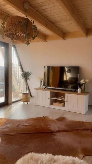 Cabana lemn offgrid Popesti Giurgiu - 1