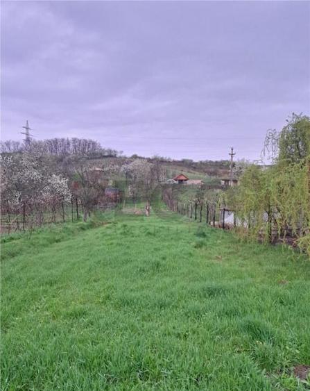 Apartament cu 3 camere , decomandat , cu 2160 mp teren intra - 3