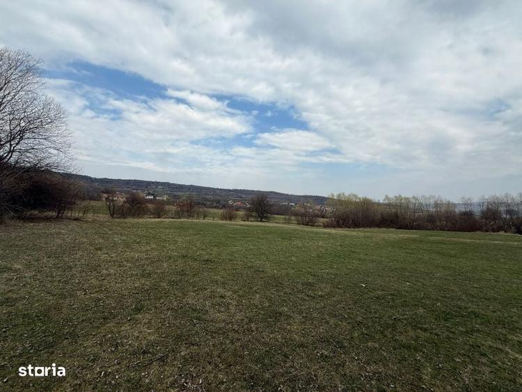 Oportunitate pentru investitie, Teren 8600 mp , Corusu, comuna Baciu - 3