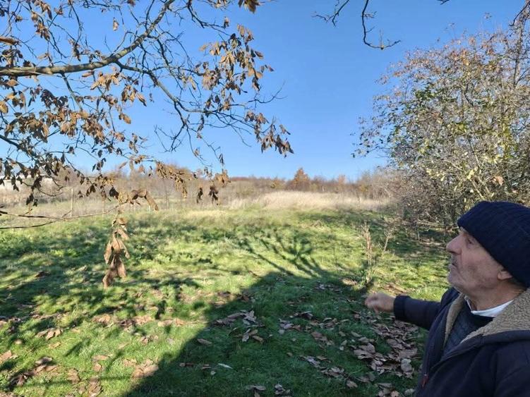 Casa de vanzare, localitate Tagadau ,com.Beliu, Nr 153 - 5