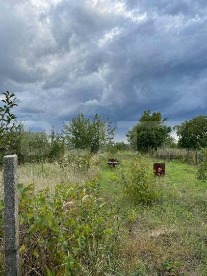 Casa si teren de 2368 mp , Zona Calea Bucuresti - 5