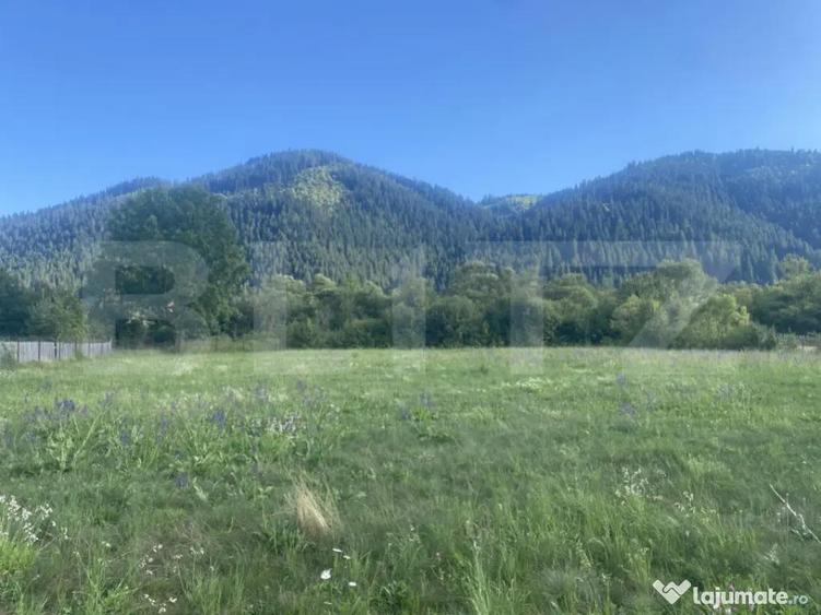Teren de vanzare in Sadova, 900 mp - 4