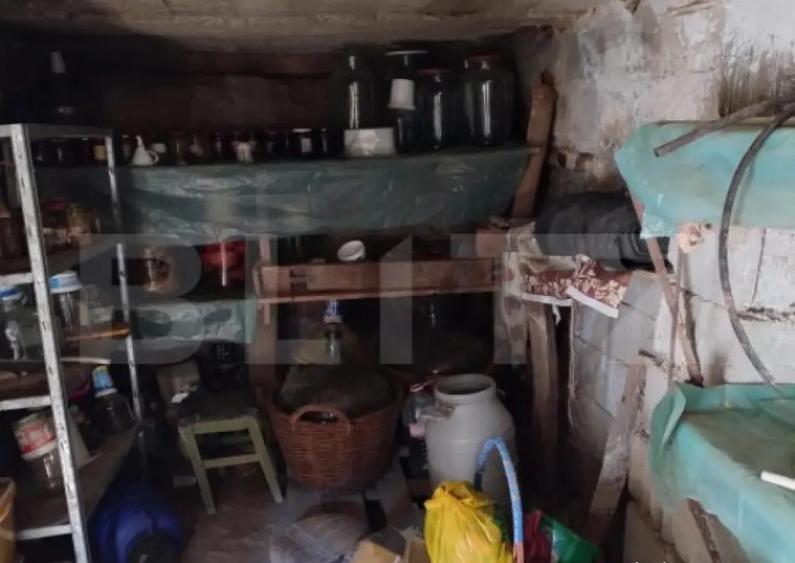 Casa in Dudovice?ti, teren 950 mp - 6