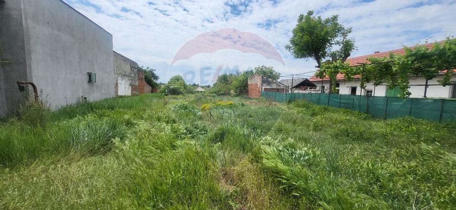 Teren Aradul Nou-2.311mp cu livada si utilitati, ideal pentru locuinte - 11