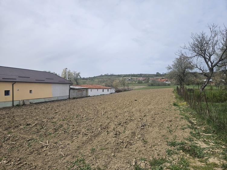 Vand teren intravilan in Petrani, 8 km de Beius, jud. Bihor - 1