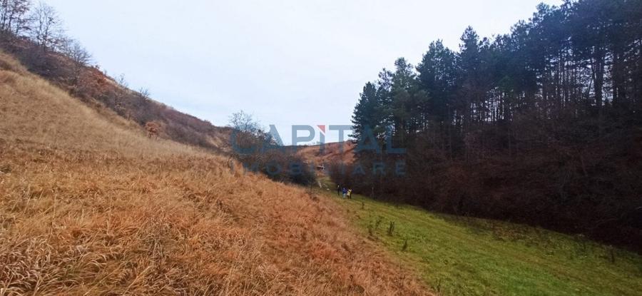 COMISION 0 LA CUMPARARE !! Teren de vanzare in Savadisla ! - 5