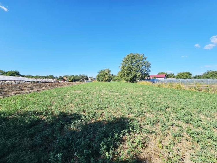 Teren intravilan 1.585 mp, cu utilități la hotar –Gherghița–Ungureni - 6