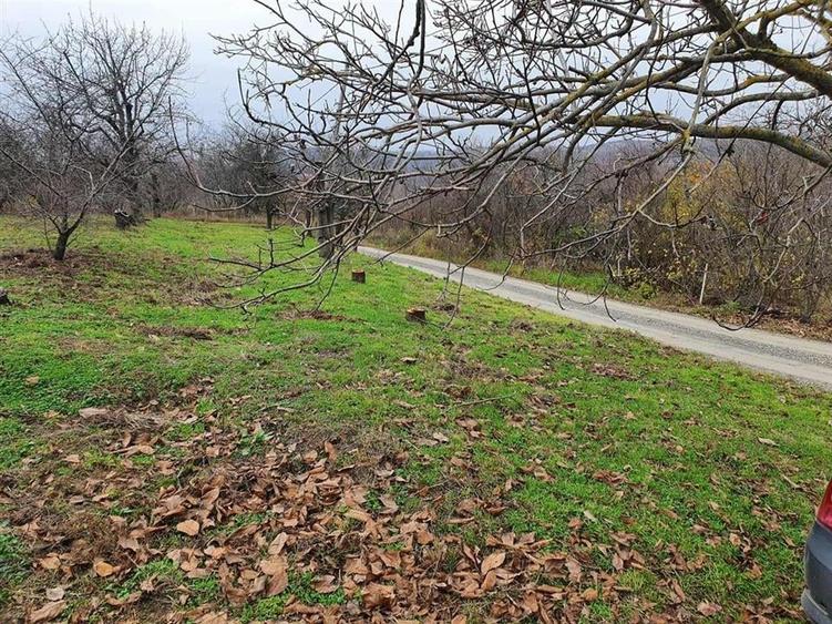 RECO Teren  in Oradea - 8