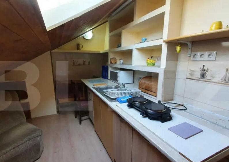 Apartament la casa,1 camera, 30 mp, zona strazii Artelor - 6