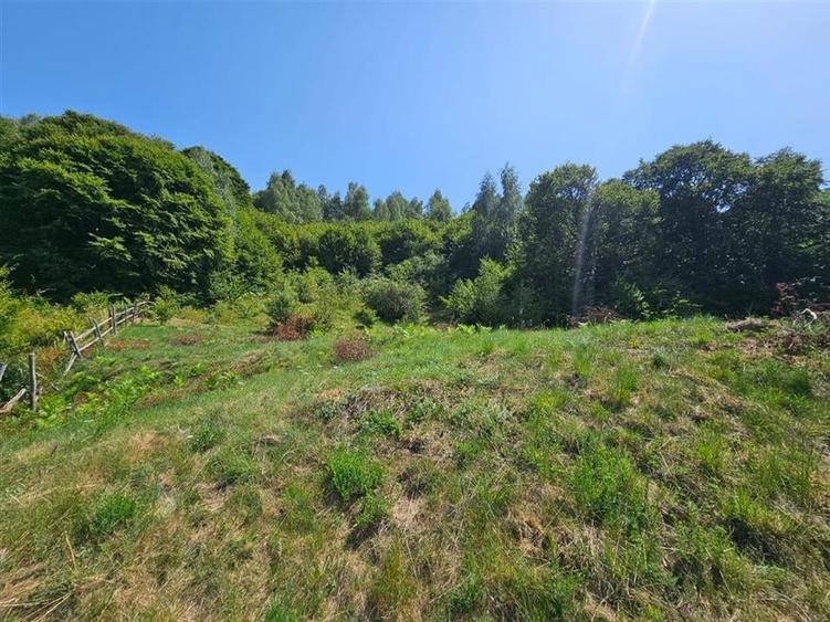 Alzza Real Estate  Teren intravilan de vanzare in Salicea, Cluj  1170 mp cu PU - 9