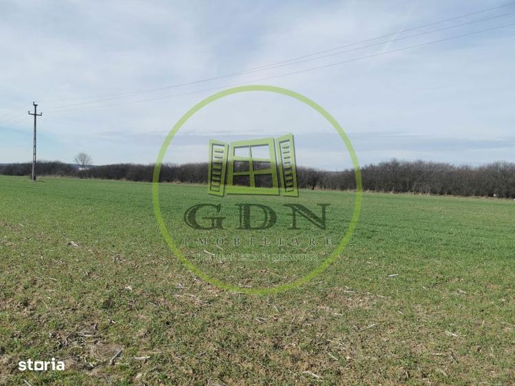 Teren extravilan de vanzare in Sacadat, 21.496 mp, cu deschidere de 42 - 7