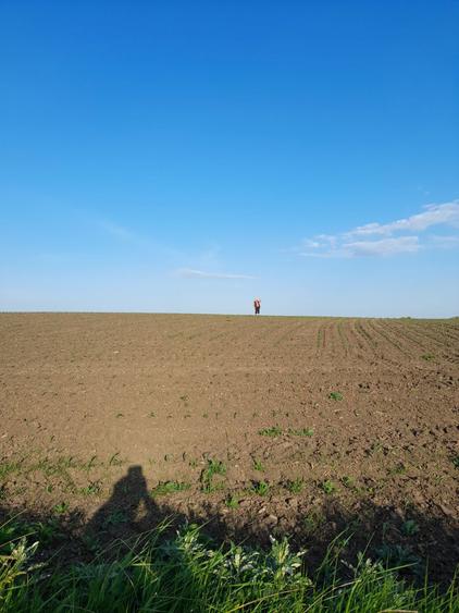 Teren intravilan Belciugatele 1250 mp - 5