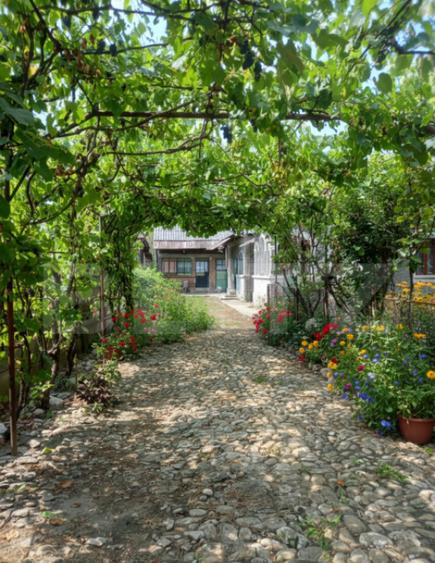 Gospodarie Completa, 130 mp, 1.300 mp Teren, zona Doice?t - 1