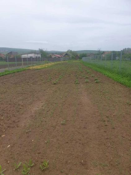 Teren de vanzare in Mihai Viteazu, Cluj - 5