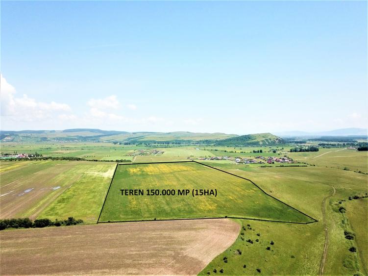 Teren Bod - ideal dezvoltare cartier rezidential - 10