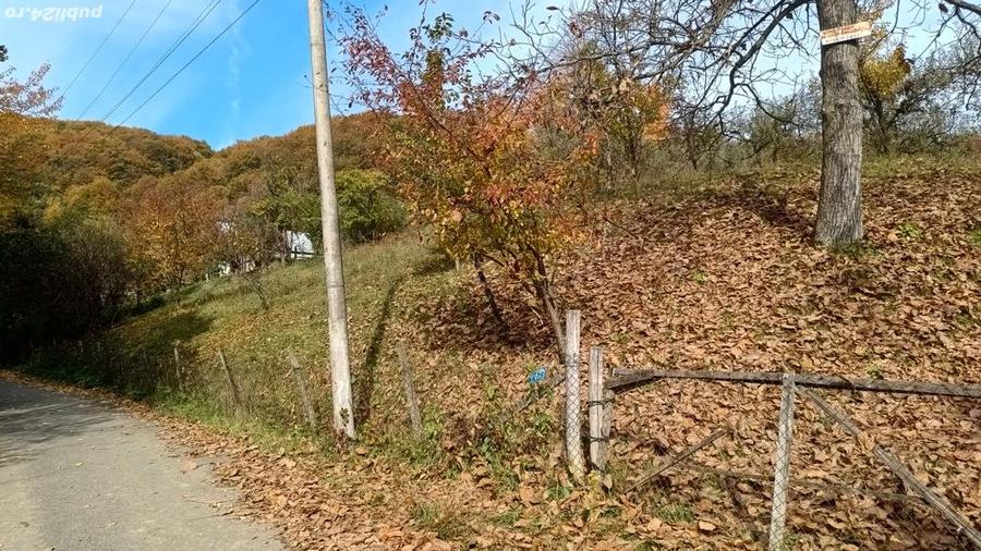Vanzare teren intravilan - 3