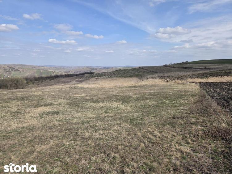 Teren de vanzare Pata Cluj - 4