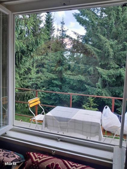 Cabana de vanzare in Muntele Bai?orii Zona Jera - 15