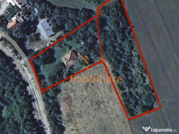 TEREN INTRAVILAN | DERNA -TRIA | 2.978 MP - 1