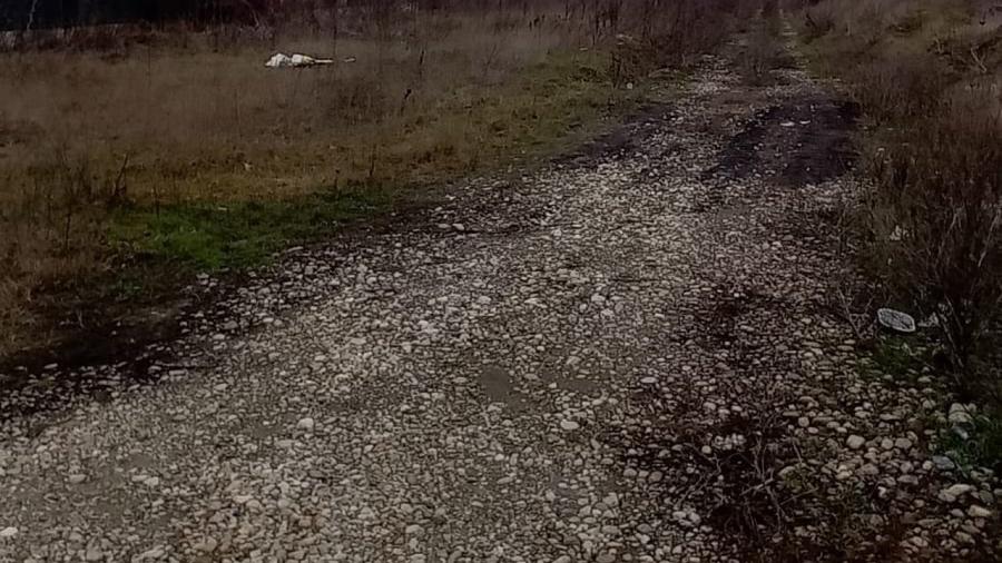 REL4001264 Teren Intravilan 11075 mp Otopeni Ilfov - 7