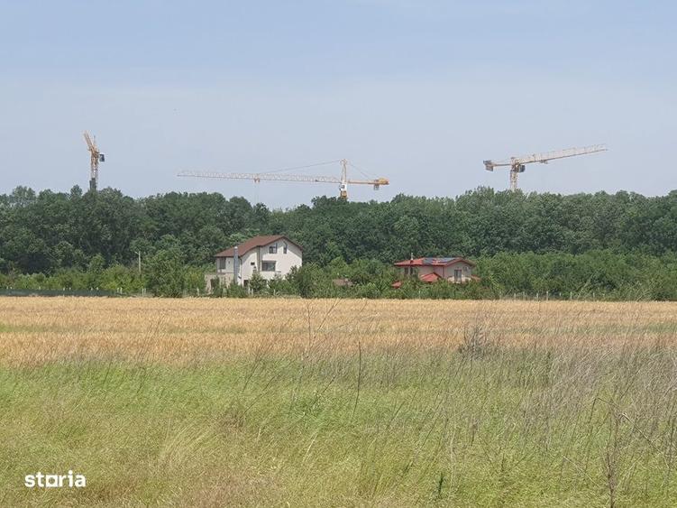 Teren Balotesti, 500 mp, 19500 euro,zona padure Edenland - 5