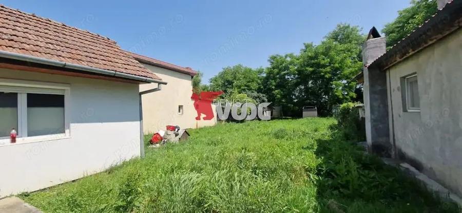 Casa individuala Timisoara/Plopi Casa individuala Timisoara/Plopi