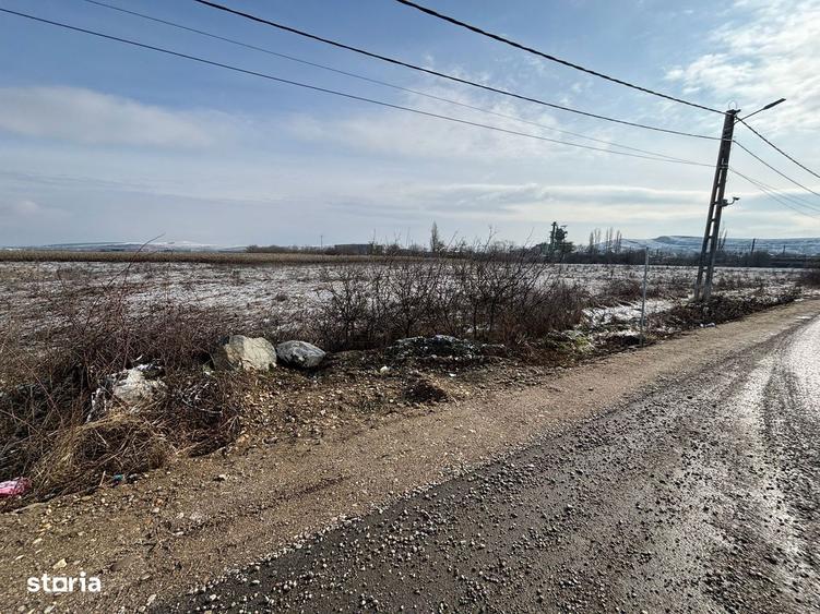 Teren intravilan Apahida/ acces asfaltat - 3