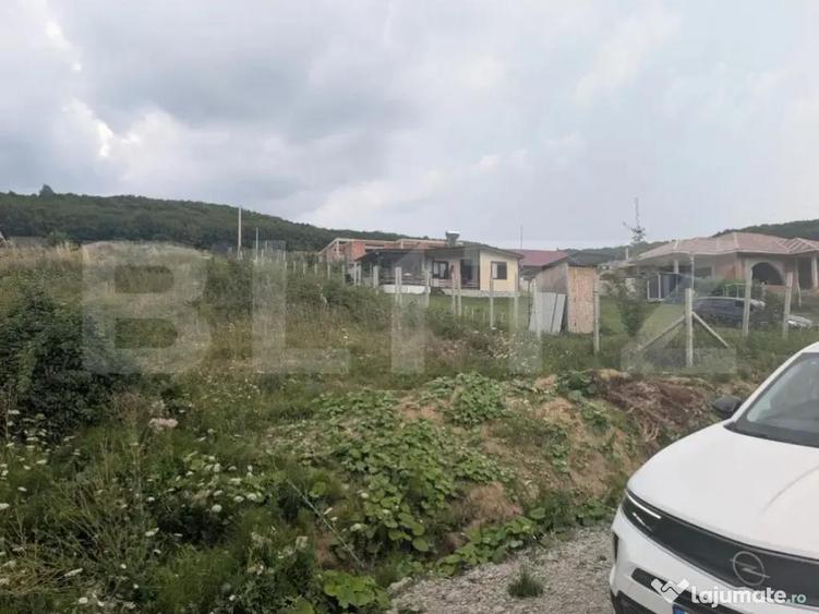 Teren construibil de vanzare, 500 mp sau 1000 mp, Dealu Jel - 3