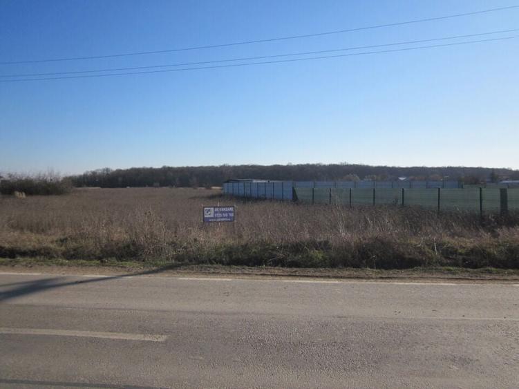 Teghes-Padurarului - 6