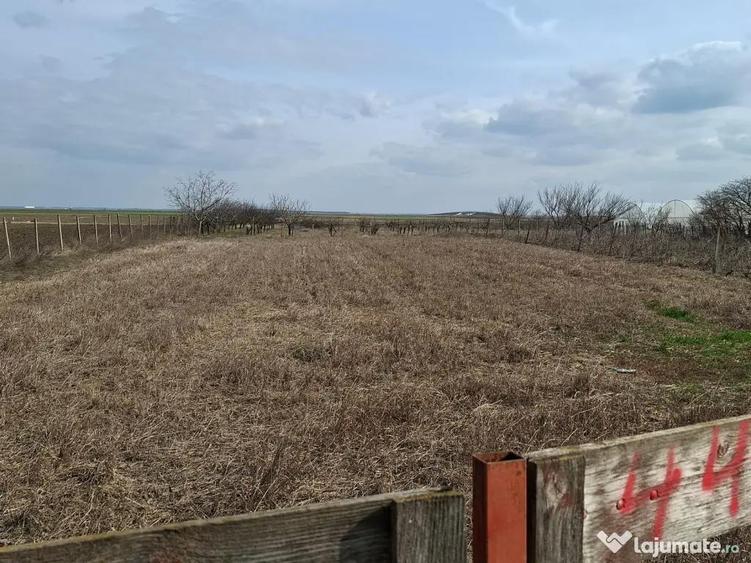 Teren intravilan 5000mp-toate utilitatile-zona mixta (constructii + livada) - 2