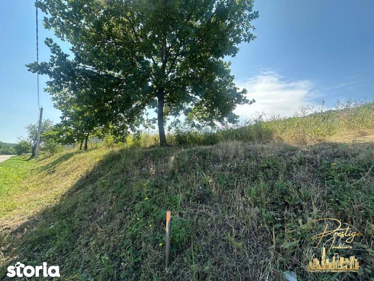 Teren intravilan de 576 mp de vanzare pe drumul DC59 , Haieu - Bihor - 1