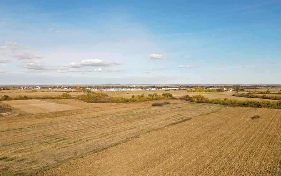 Bucovat - Lot Intravilan 2.27 Ha, PUZ inceput, Rezidentia... - 3