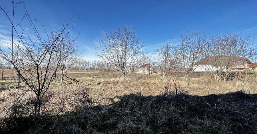 Teren intravilan cu hala construita - 6