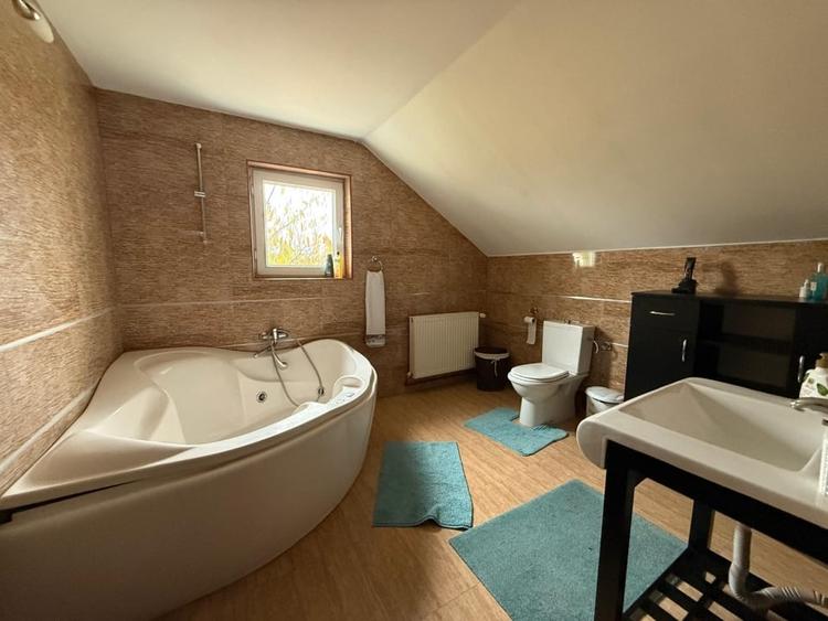 Casa D+P+M, 713 MP teren, 300 MP utili, Carcea, zona Metro - 8