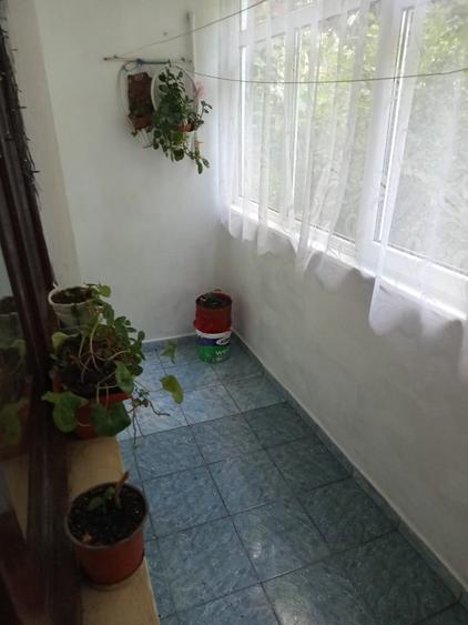 Se vinde apartament semidecomandat 3 camere la parter pret 71000 euro neg. - 5