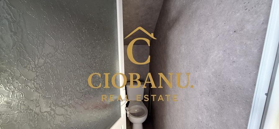 Hala de vanzare in Racari de Jos - 12