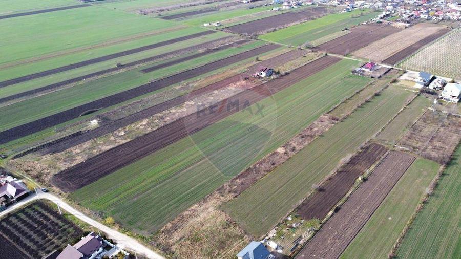 Teren Vanatori Strada Crizantemelor - 2