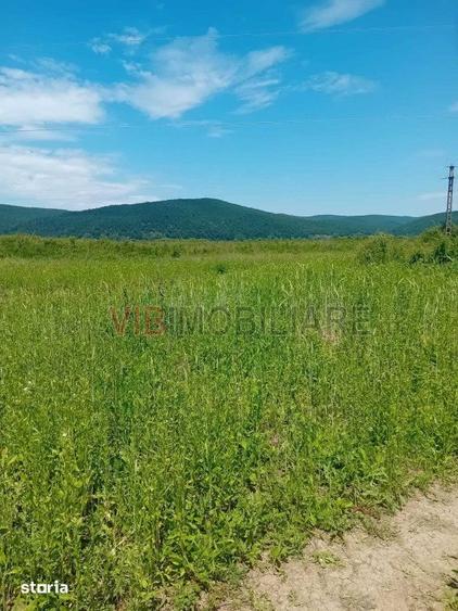 Oportunitate investi?ie agricola | 750 ha societate | Jude?ul Arad | - 1