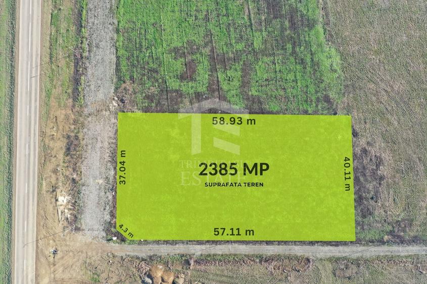 Teren Construcții intravilan de 2385 mp, în Moșnița Nouă