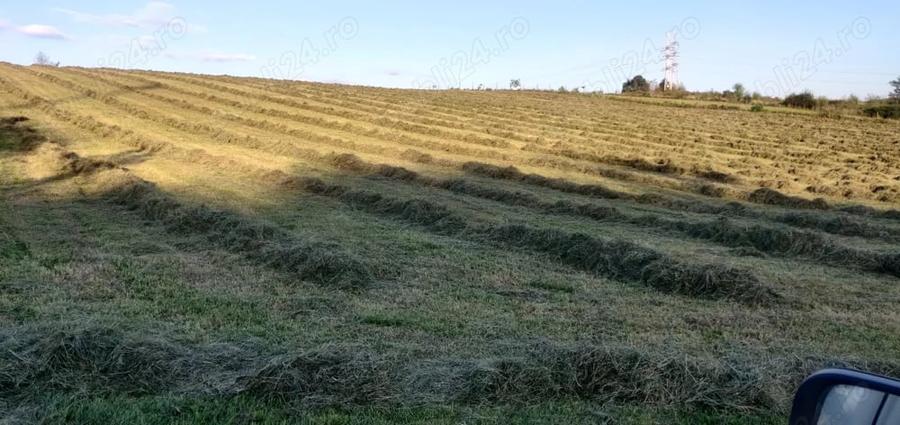 Teren de 40000 mp, în Central