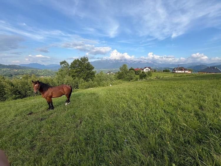 Teren Construcții intravilan de 1400 mp, în Moieciu