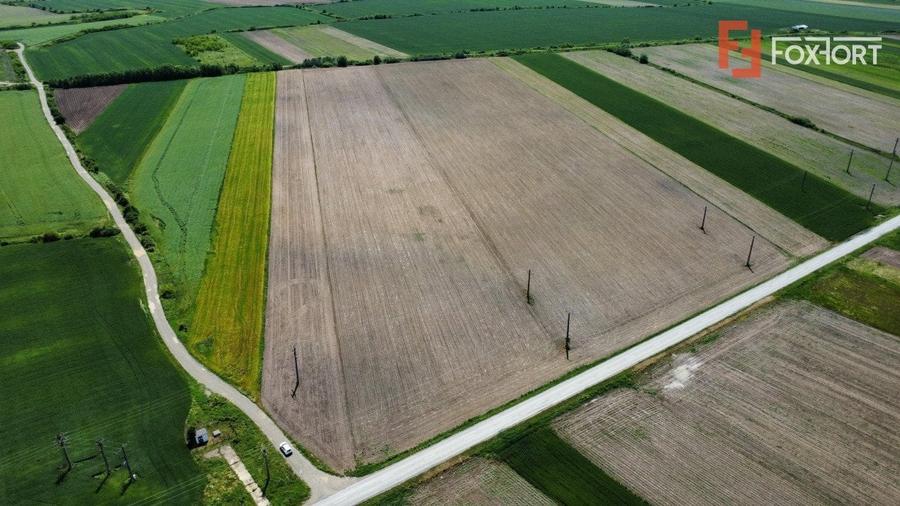 Teren Construcții intravilan de 40600 mp, în Bucovăț (Remetea Mare)